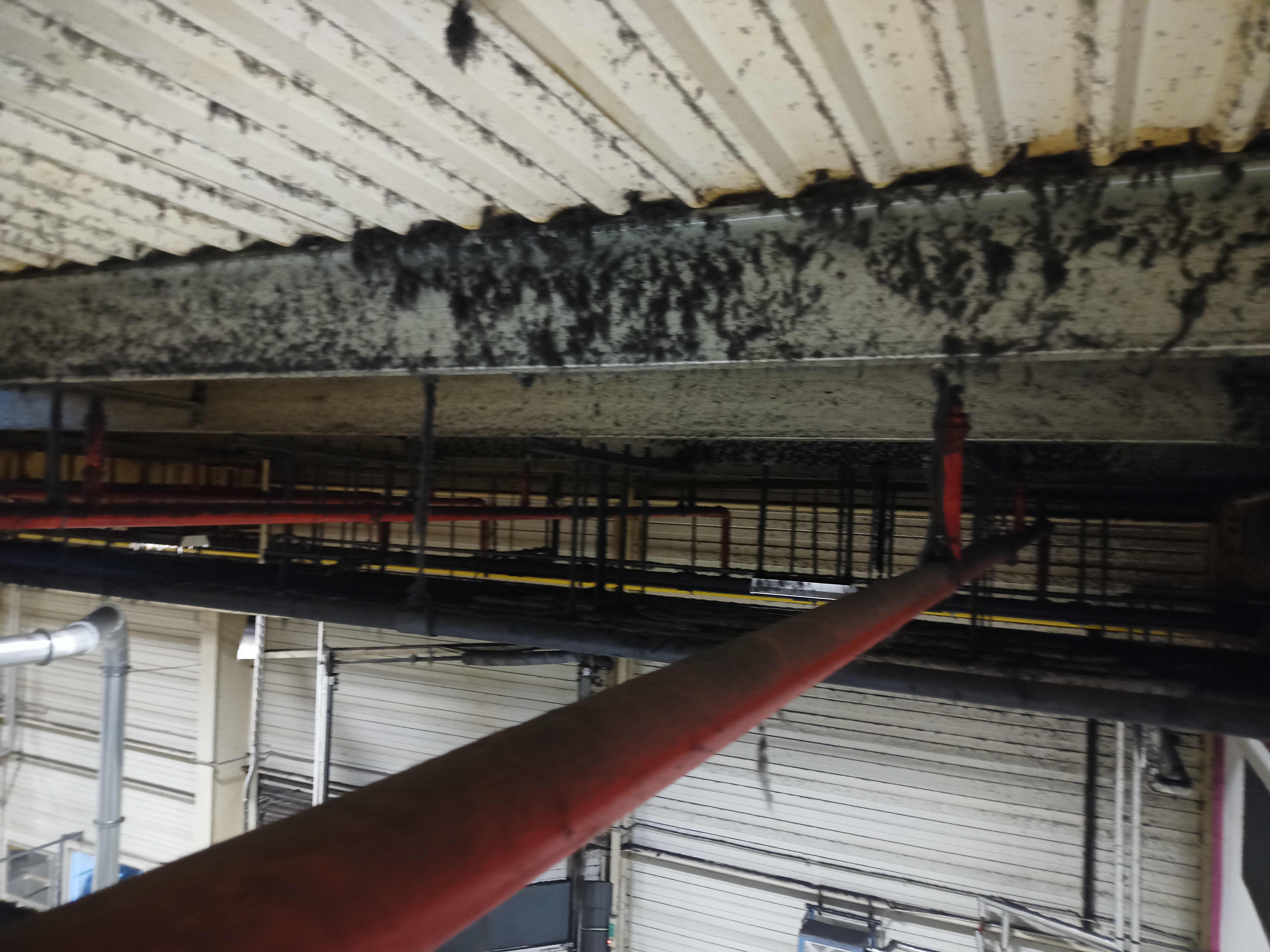 Výškové práce – technické čištění ocelových konstrukcí a stropu v průmyslové hale